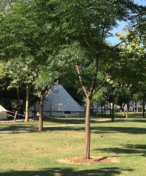 lake-shkodra-resort (11)