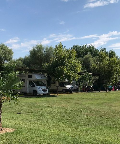 lake-shkodra-resort (14)